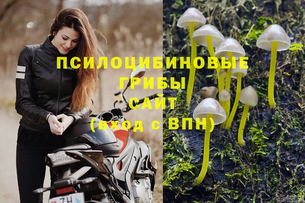 2c-b Белоозёрский