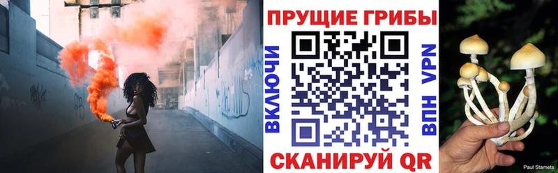 сколько стоит  площадка состав  blacksprut маркетплейс  Галлюциногенные грибы MAGIC MUSHROOMS  Чехов 